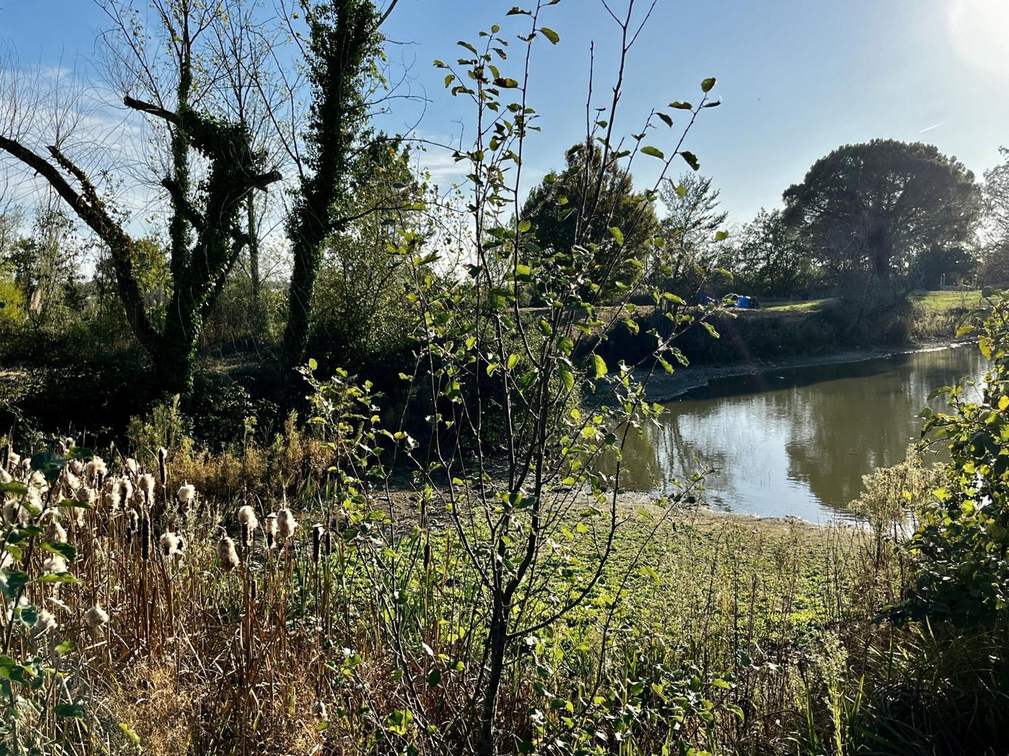 Le Parc De Gouts Villa Aiguillon Kültér fotó