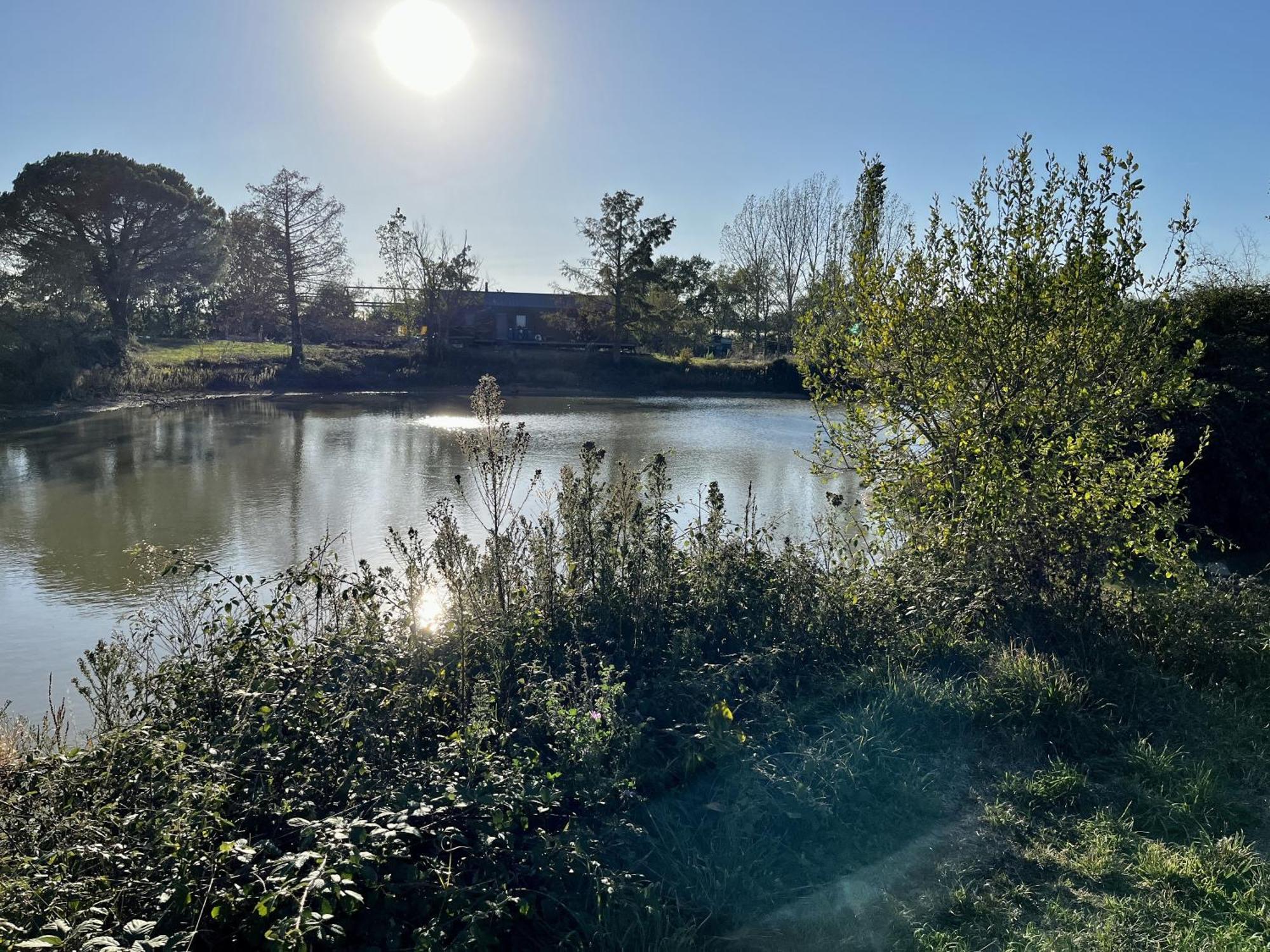 Le Parc De Gouts Villa Aiguillon Kültér fotó